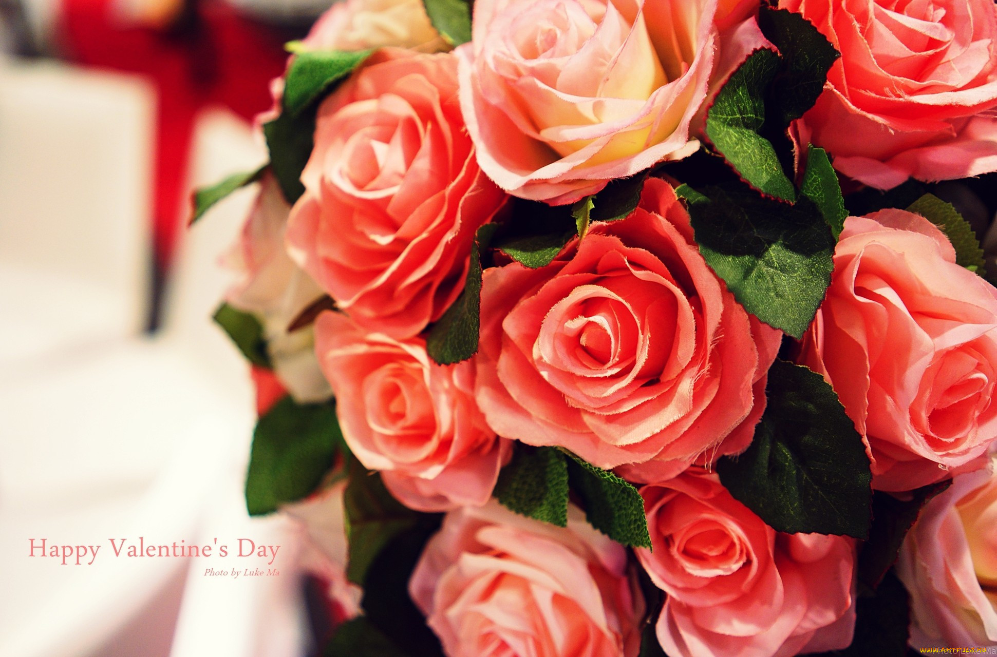,   ,  ,  , , , , flowers, , happy, valentines, day, rose, 